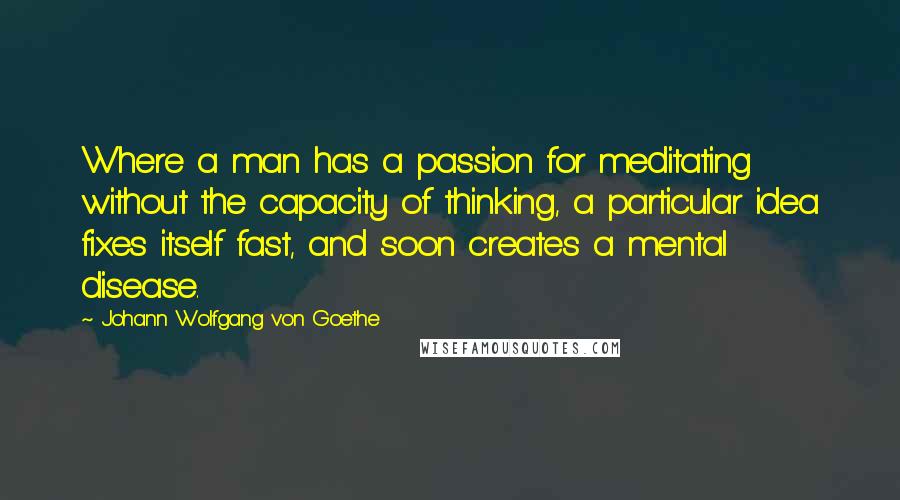 Johann Wolfgang Von Goethe Quotes: Where a man has a passion for meditating without the capacity of thinking, a particular idea fixes itself fast, and soon creates a mental disease.