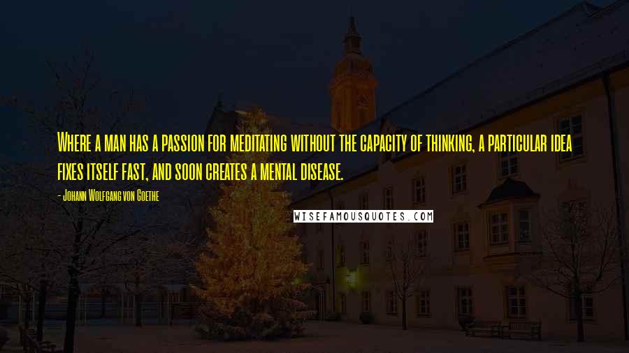 Johann Wolfgang Von Goethe Quotes: Where a man has a passion for meditating without the capacity of thinking, a particular idea fixes itself fast, and soon creates a mental disease.