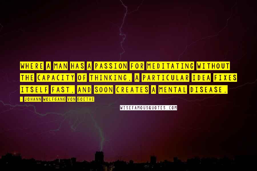 Johann Wolfgang Von Goethe Quotes: Where a man has a passion for meditating without the capacity of thinking, a particular idea fixes itself fast, and soon creates a mental disease.