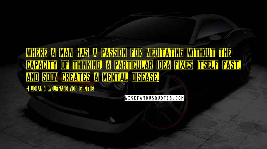 Johann Wolfgang Von Goethe Quotes: Where a man has a passion for meditating without the capacity of thinking, a particular idea fixes itself fast, and soon creates a mental disease.