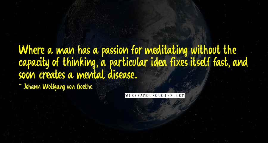 Johann Wolfgang Von Goethe Quotes: Where a man has a passion for meditating without the capacity of thinking, a particular idea fixes itself fast, and soon creates a mental disease.