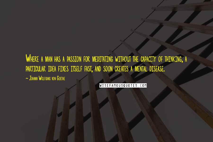 Johann Wolfgang Von Goethe Quotes: Where a man has a passion for meditating without the capacity of thinking, a particular idea fixes itself fast, and soon creates a mental disease.