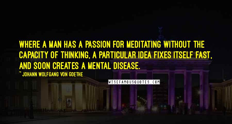 Johann Wolfgang Von Goethe Quotes: Where a man has a passion for meditating without the capacity of thinking, a particular idea fixes itself fast, and soon creates a mental disease.