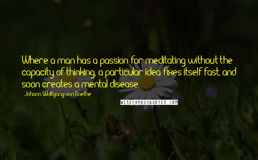 Johann Wolfgang Von Goethe Quotes: Where a man has a passion for meditating without the capacity of thinking, a particular idea fixes itself fast, and soon creates a mental disease.