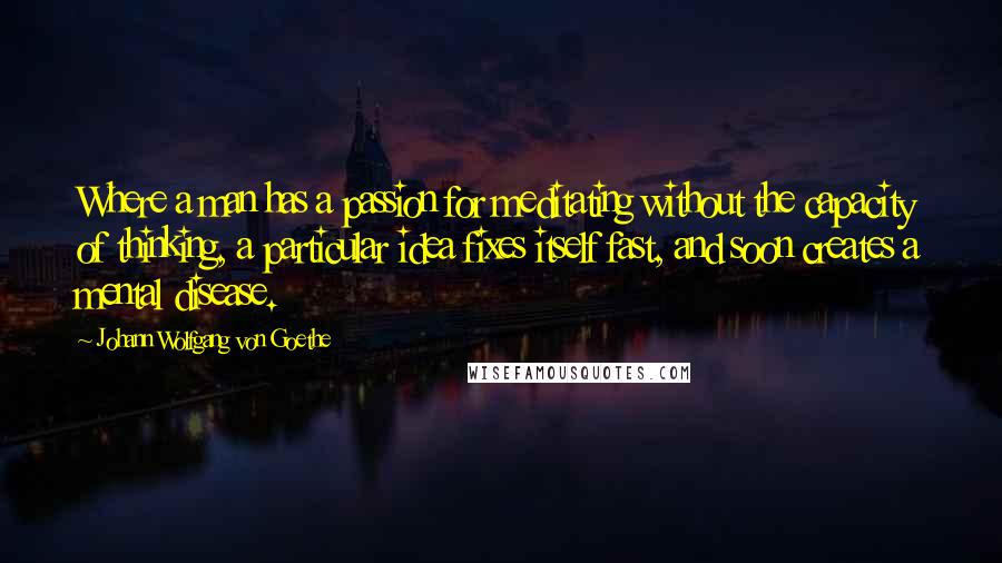 Johann Wolfgang Von Goethe Quotes: Where a man has a passion for meditating without the capacity of thinking, a particular idea fixes itself fast, and soon creates a mental disease.