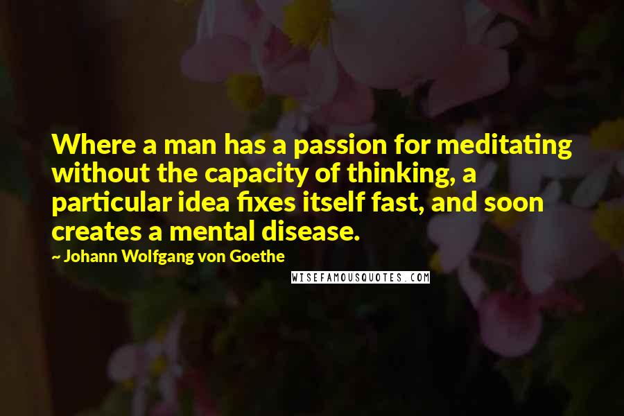 Johann Wolfgang Von Goethe Quotes: Where a man has a passion for meditating without the capacity of thinking, a particular idea fixes itself fast, and soon creates a mental disease.