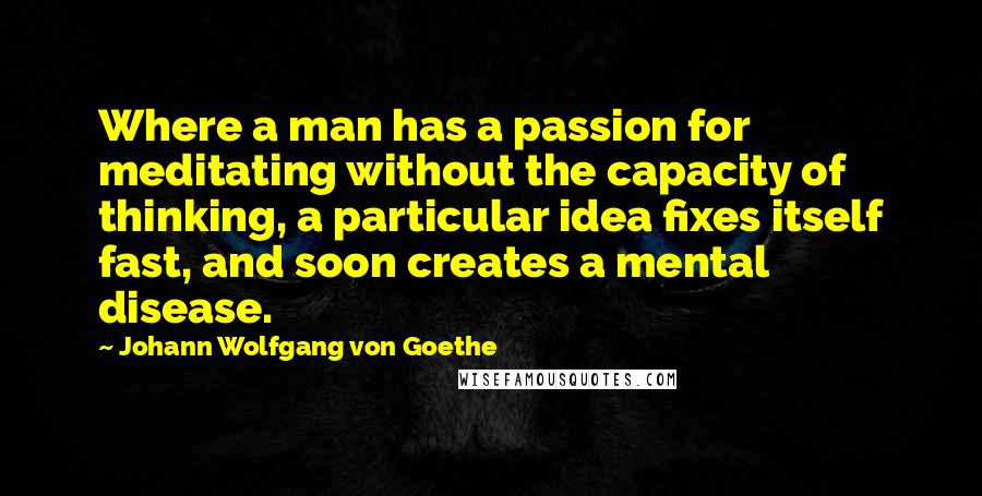 Johann Wolfgang Von Goethe Quotes: Where a man has a passion for meditating without the capacity of thinking, a particular idea fixes itself fast, and soon creates a mental disease.