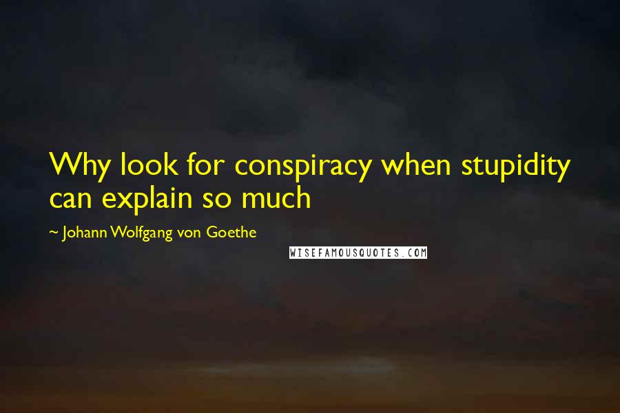 Johann Wolfgang Von Goethe Quotes: Why look for conspiracy when stupidity can explain so much