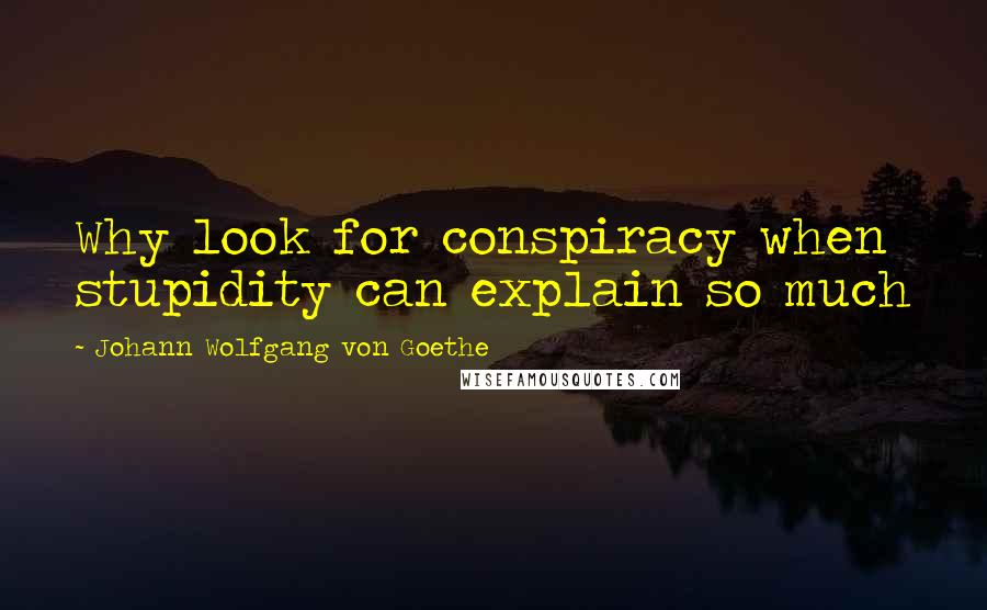 Johann Wolfgang Von Goethe Quotes: Why look for conspiracy when stupidity can explain so much