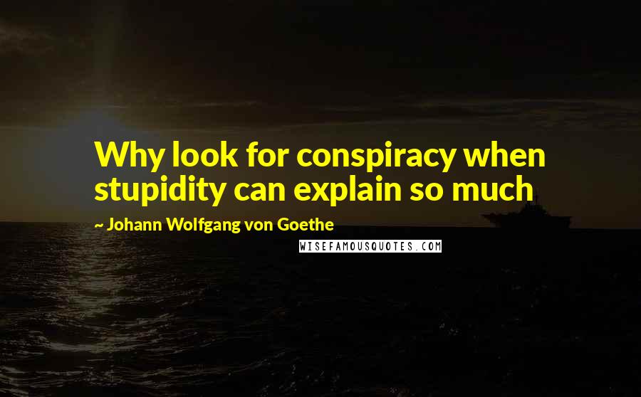 Johann Wolfgang Von Goethe Quotes: Why look for conspiracy when stupidity can explain so much