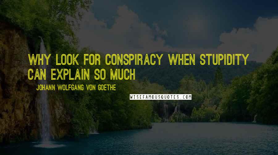 Johann Wolfgang Von Goethe Quotes: Why look for conspiracy when stupidity can explain so much