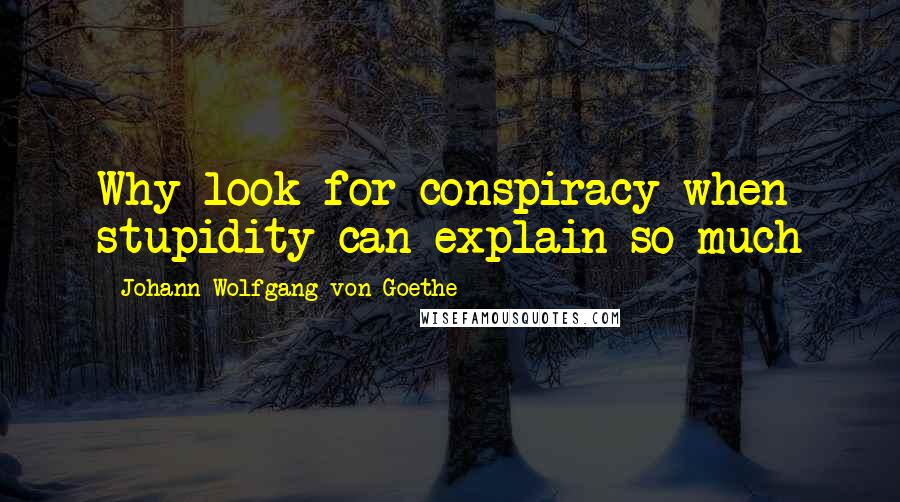 Johann Wolfgang Von Goethe Quotes: Why look for conspiracy when stupidity can explain so much