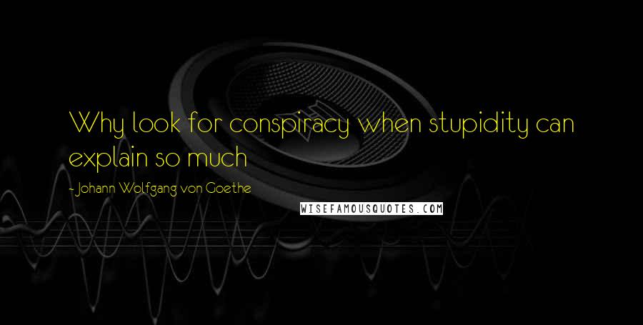 Johann Wolfgang Von Goethe Quotes: Why look for conspiracy when stupidity can explain so much