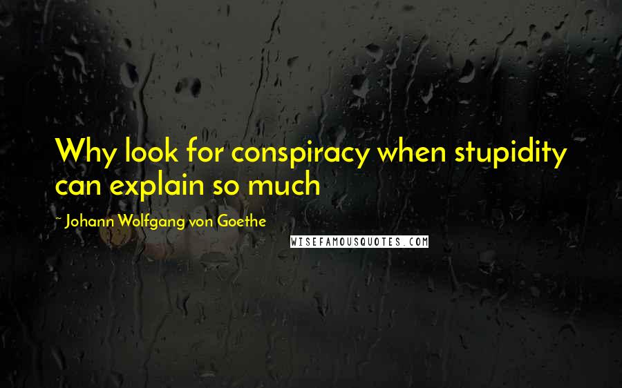 Johann Wolfgang Von Goethe Quotes: Why look for conspiracy when stupidity can explain so much