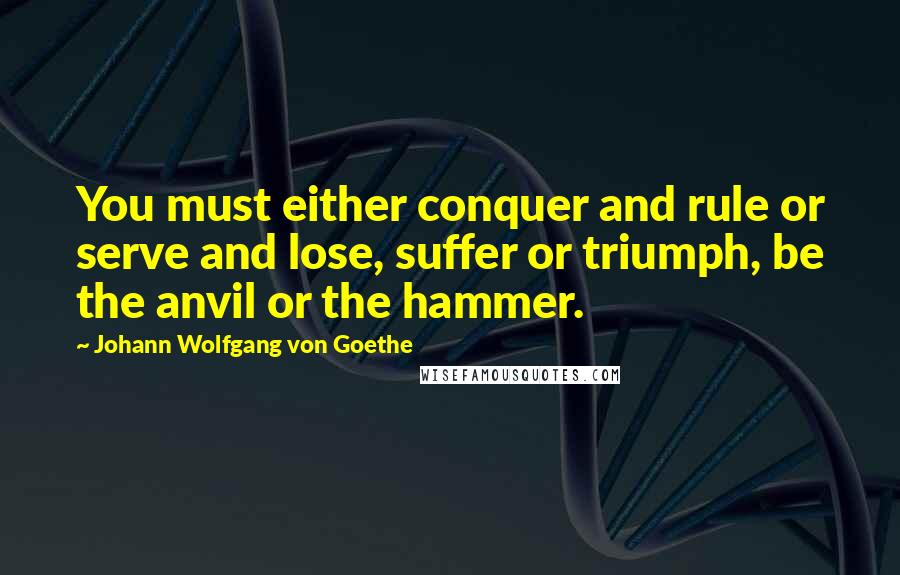 Johann Wolfgang Von Goethe Quotes: You must either conquer and rule or serve and lose, suffer or triumph, be the anvil or the hammer.
