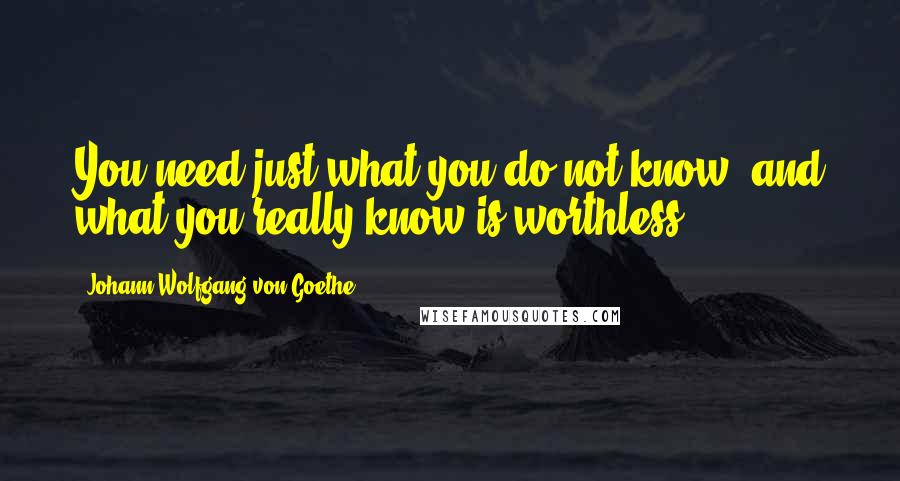 Johann Wolfgang Von Goethe Quotes: You need just what you do not know, and what you really know is worthless.