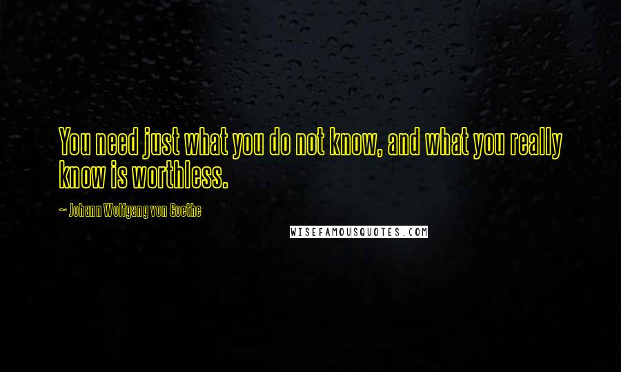 Johann Wolfgang Von Goethe Quotes: You need just what you do not know, and what you really know is worthless.