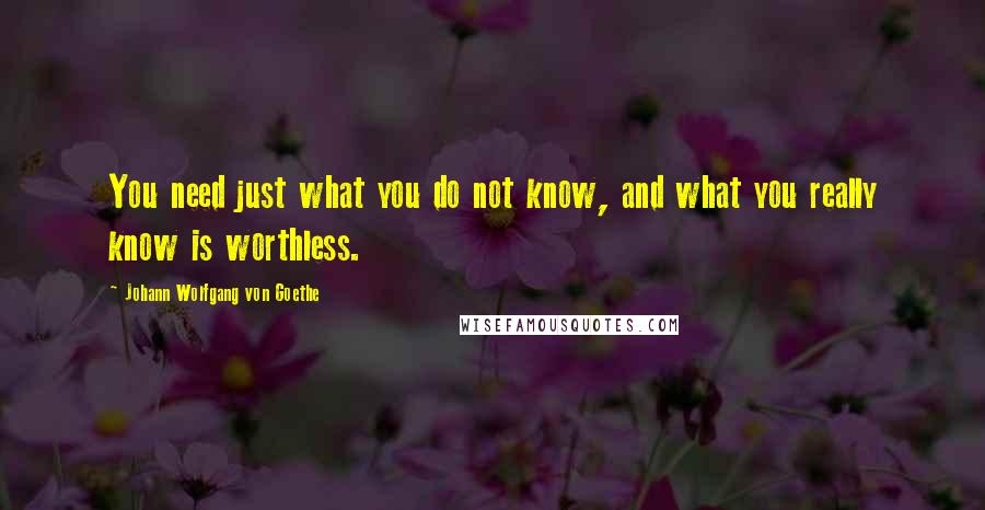 Johann Wolfgang Von Goethe Quotes: You need just what you do not know, and what you really know is worthless.