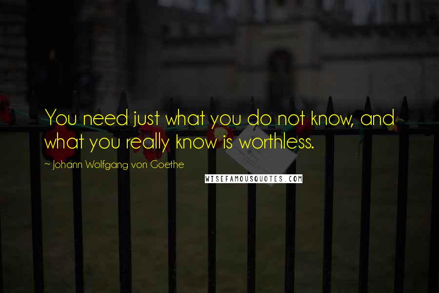 Johann Wolfgang Von Goethe Quotes: You need just what you do not know, and what you really know is worthless.