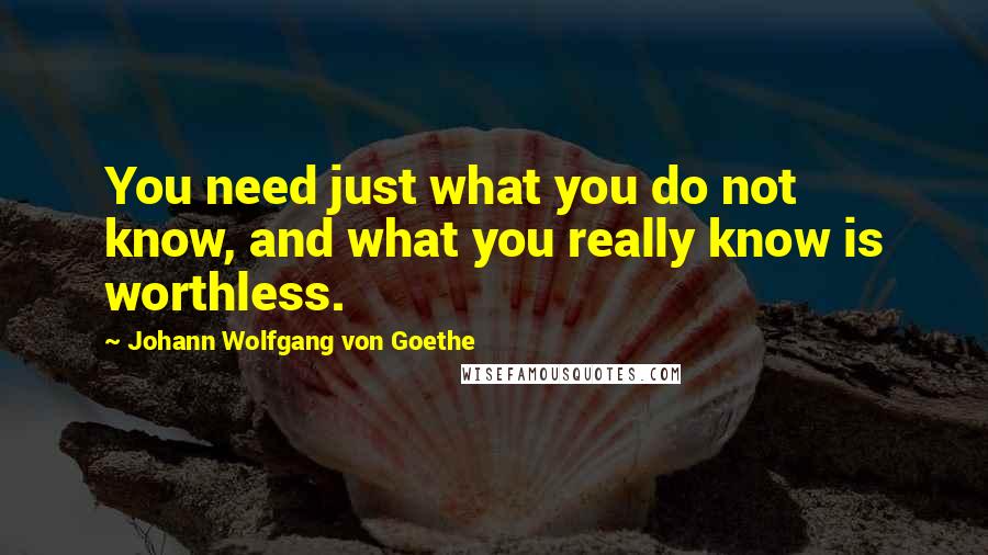 Johann Wolfgang Von Goethe Quotes: You need just what you do not know, and what you really know is worthless.