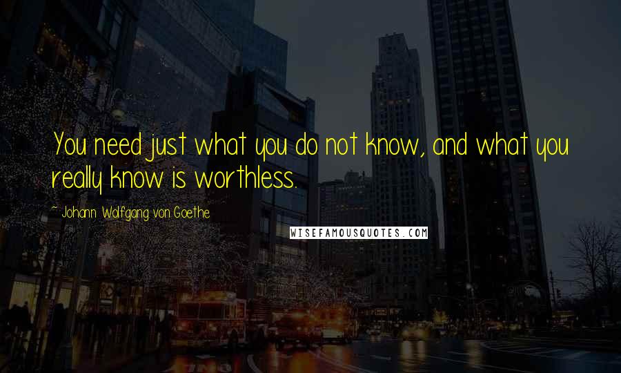 Johann Wolfgang Von Goethe Quotes: You need just what you do not know, and what you really know is worthless.