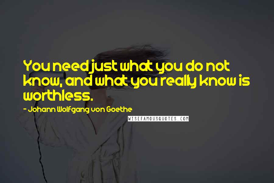 Johann Wolfgang Von Goethe Quotes: You need just what you do not know, and what you really know is worthless.