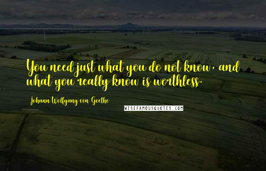 Johann Wolfgang Von Goethe Quotes: You need just what you do not know, and what you really know is worthless.