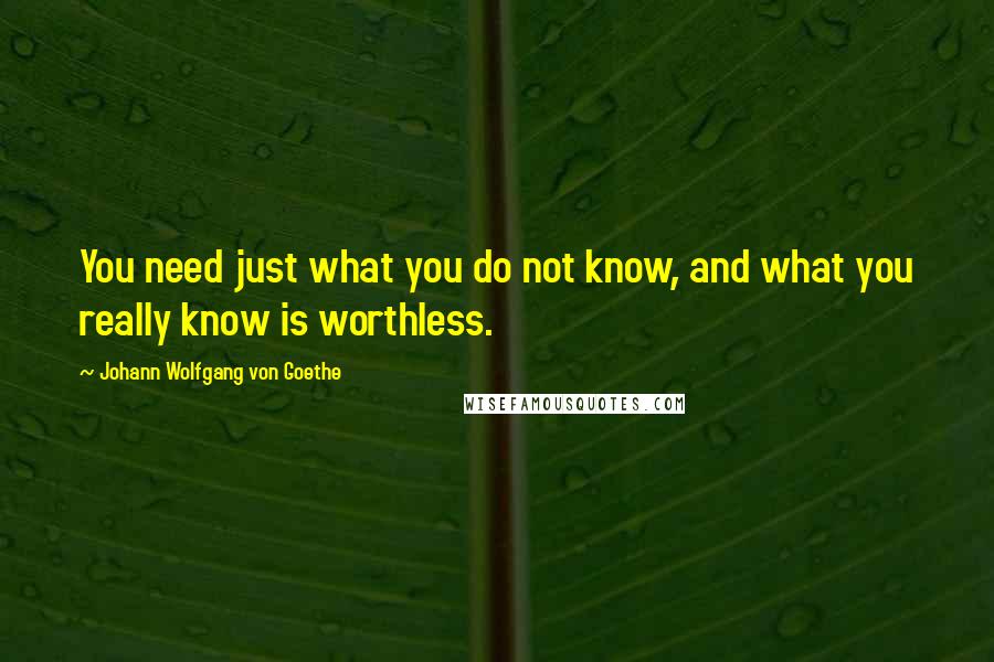 Johann Wolfgang Von Goethe Quotes: You need just what you do not know, and what you really know is worthless.