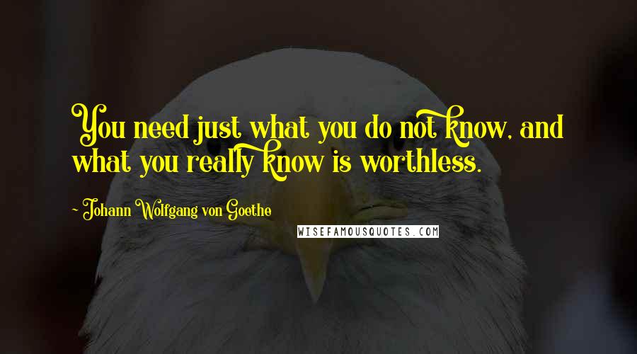 Johann Wolfgang Von Goethe Quotes: You need just what you do not know, and what you really know is worthless.