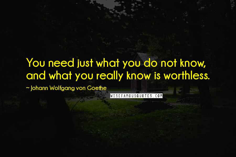 Johann Wolfgang Von Goethe Quotes: You need just what you do not know, and what you really know is worthless.