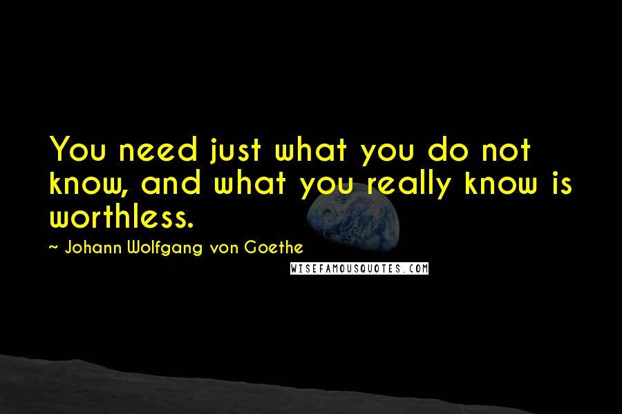 Johann Wolfgang Von Goethe Quotes: You need just what you do not know, and what you really know is worthless.