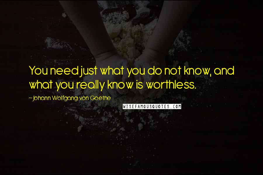 Johann Wolfgang Von Goethe Quotes: You need just what you do not know, and what you really know is worthless.