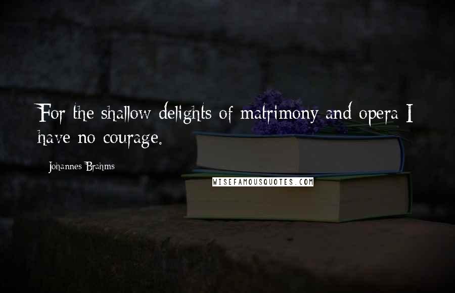 Johannes Brahms Quotes: For the shallow delights of matrimony and opera I have no courage.