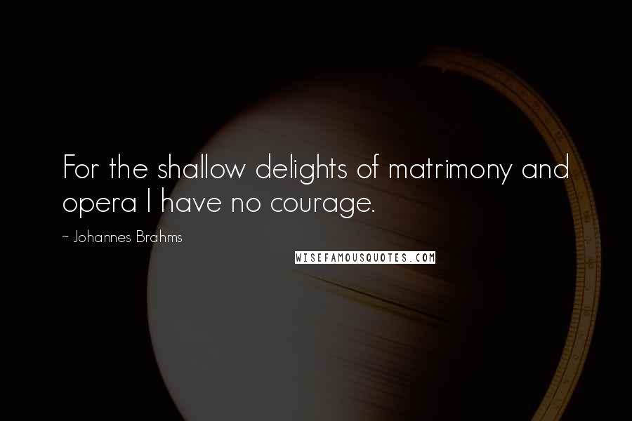 Johannes Brahms Quotes: For the shallow delights of matrimony and opera I have no courage.