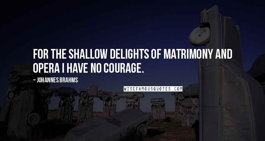 Johannes Brahms Quotes: For the shallow delights of matrimony and opera I have no courage.