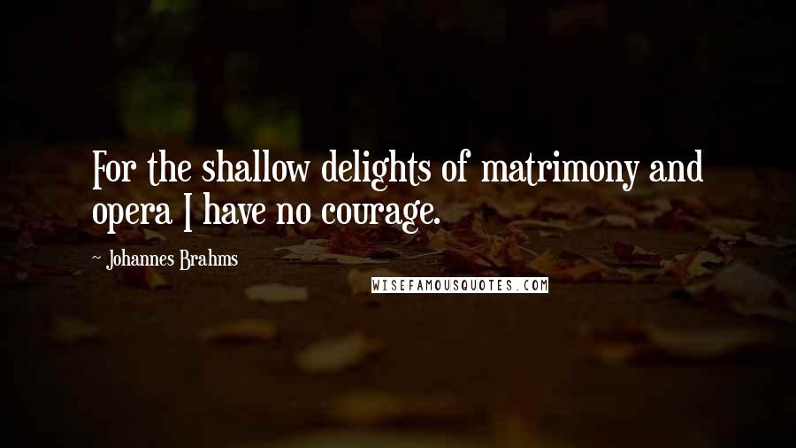 Johannes Brahms Quotes: For the shallow delights of matrimony and opera I have no courage.