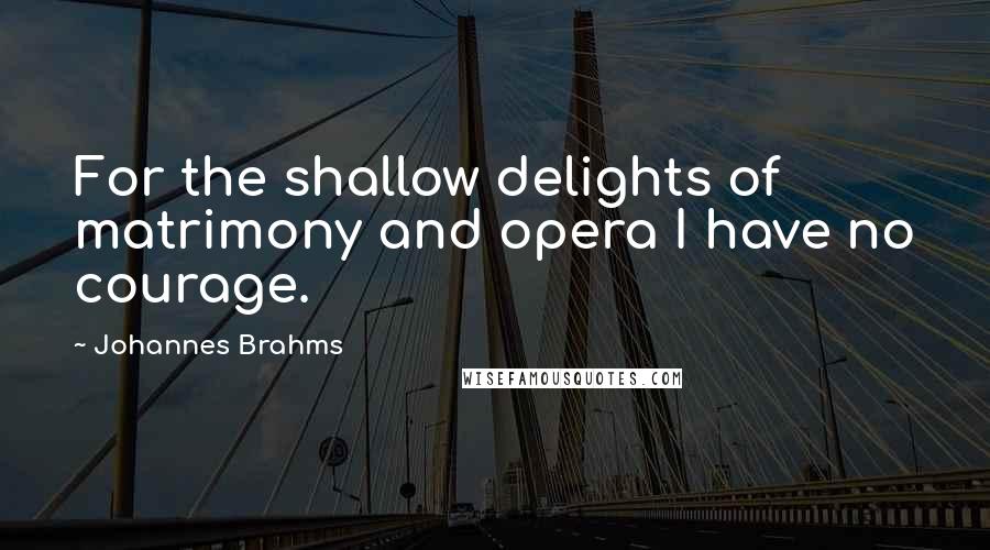 Johannes Brahms Quotes: For the shallow delights of matrimony and opera I have no courage.