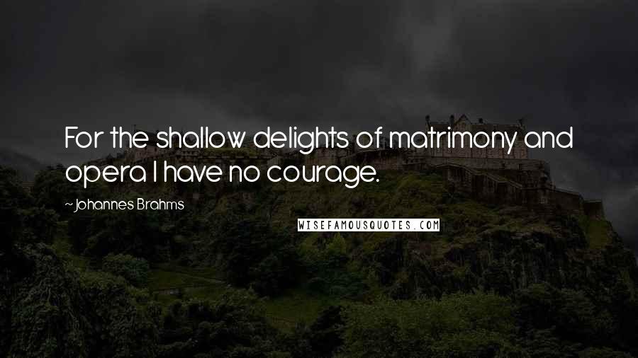 Johannes Brahms Quotes: For the shallow delights of matrimony and opera I have no courage.