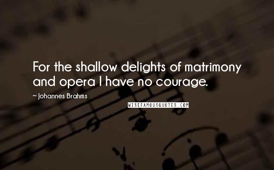 Johannes Brahms Quotes: For the shallow delights of matrimony and opera I have no courage.