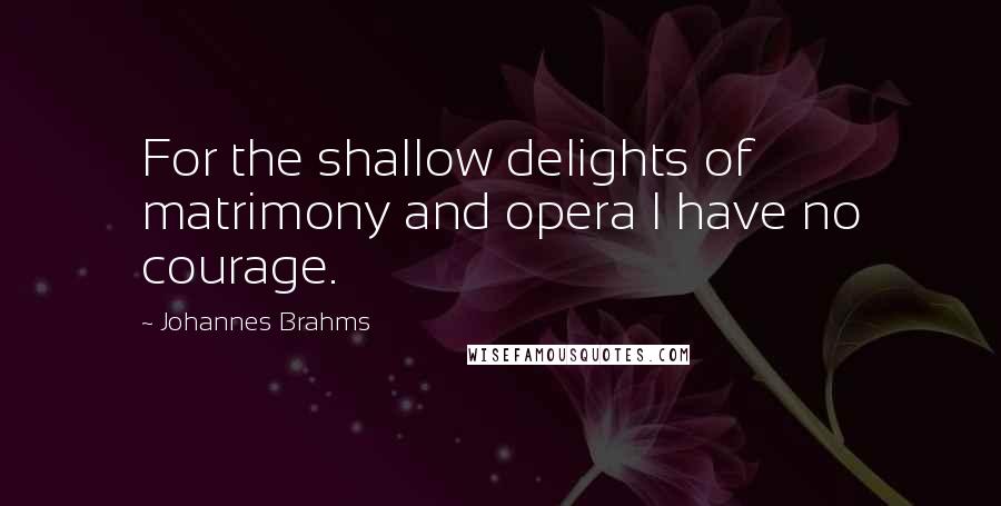 Johannes Brahms Quotes: For the shallow delights of matrimony and opera I have no courage.