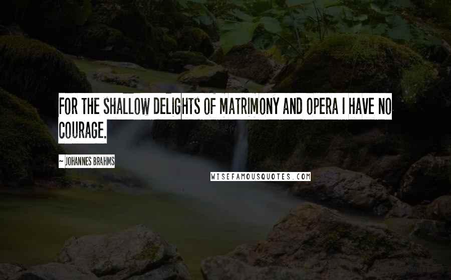 Johannes Brahms Quotes: For the shallow delights of matrimony and opera I have no courage.