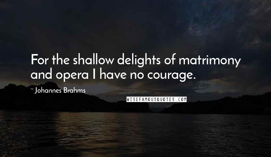Johannes Brahms Quotes: For the shallow delights of matrimony and opera I have no courage.