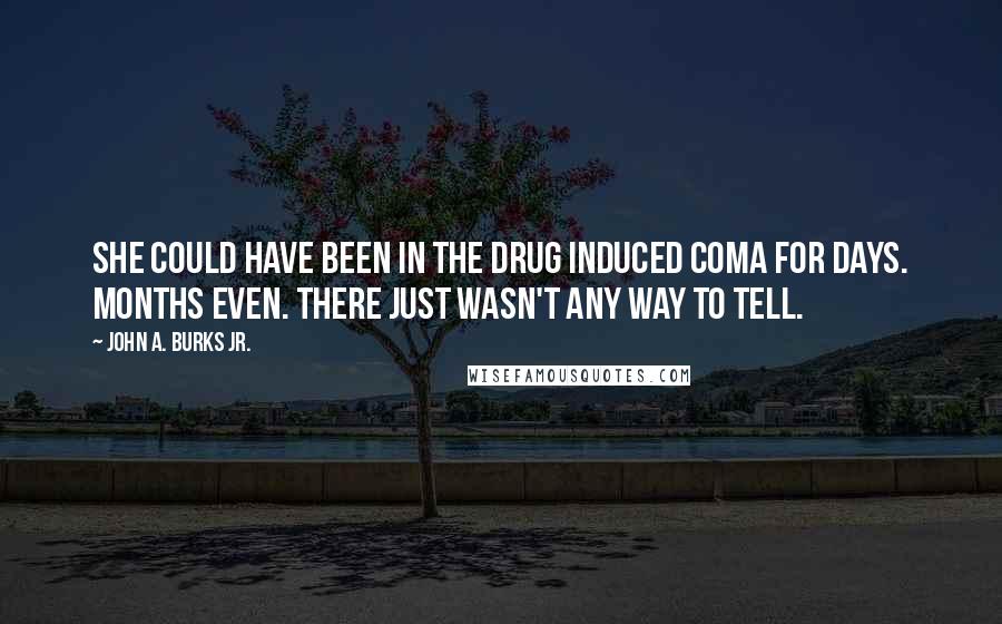 John A. Burks Jr. Quotes: She could have been in the drug induced coma for days. Months even. There just wasn't any way to tell.