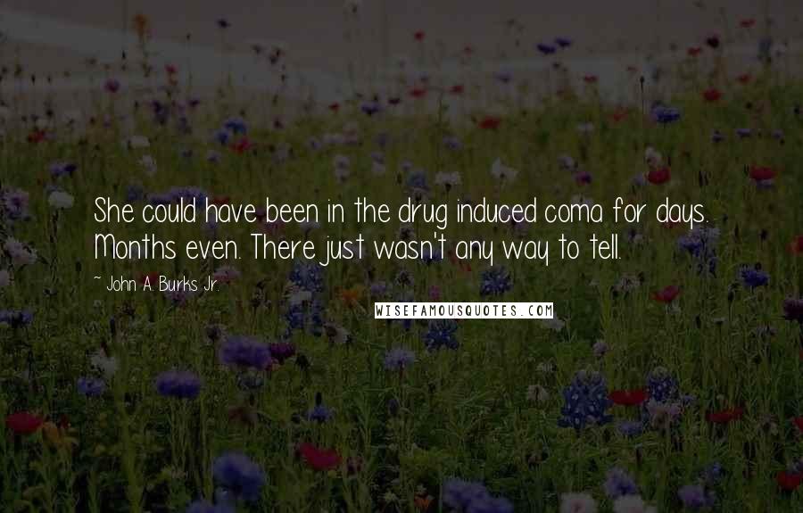 John A. Burks Jr. Quotes: She could have been in the drug induced coma for days. Months even. There just wasn't any way to tell.