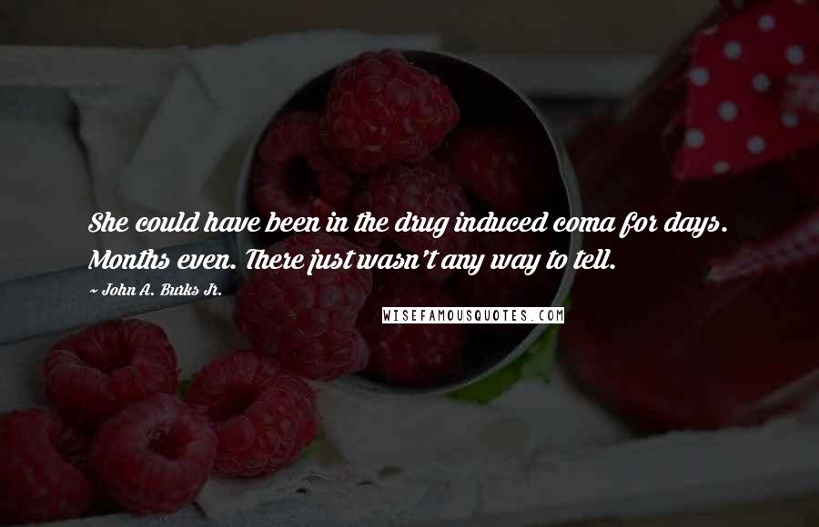 John A. Burks Jr. Quotes: She could have been in the drug induced coma for days. Months even. There just wasn't any way to tell.