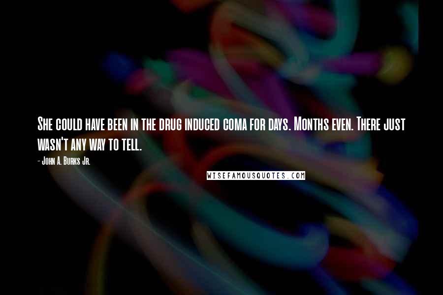 John A. Burks Jr. Quotes: She could have been in the drug induced coma for days. Months even. There just wasn't any way to tell.