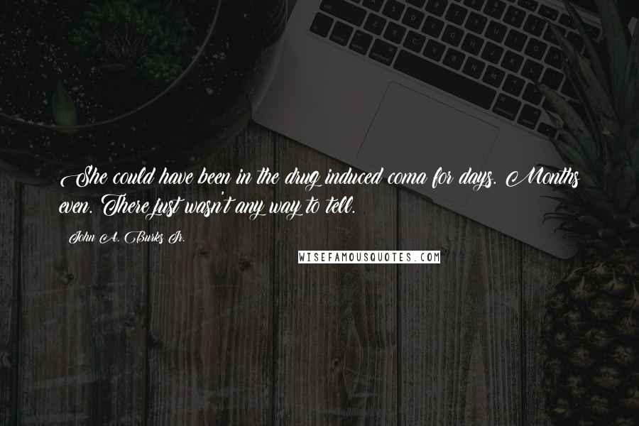 John A. Burks Jr. Quotes: She could have been in the drug induced coma for days. Months even. There just wasn't any way to tell.