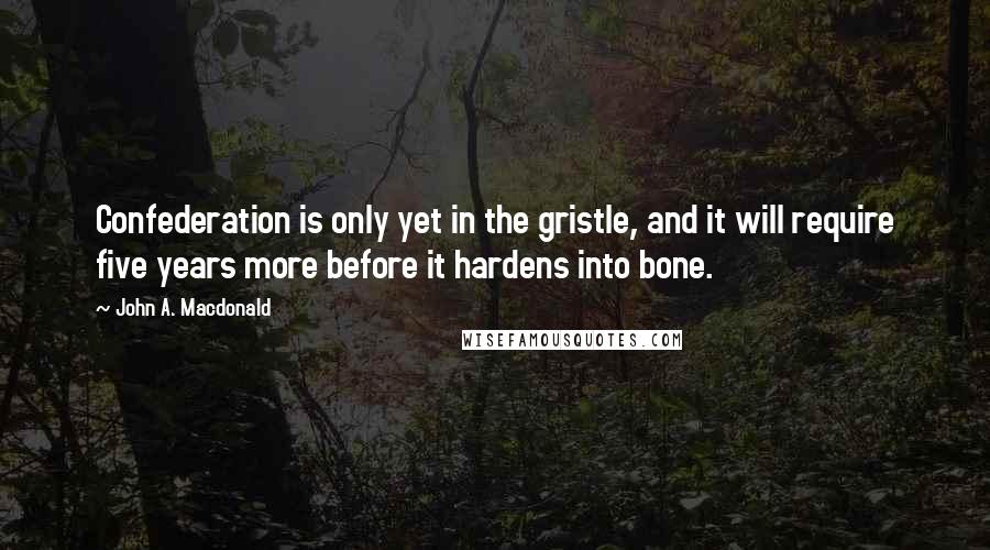 John A. Macdonald Quotes: Confederation is only yet in the gristle, and it will require five years more before it hardens into bone.