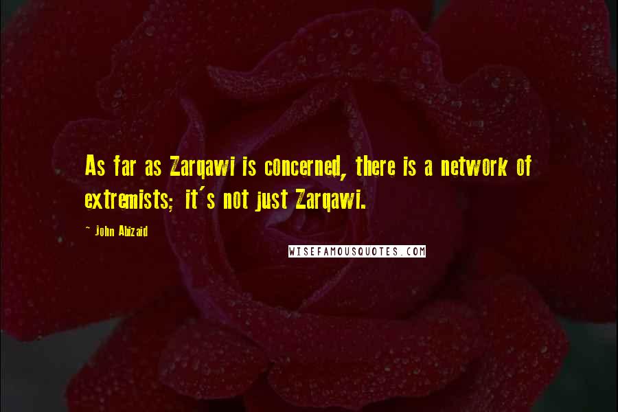 John Abizaid Quotes: As far as Zarqawi is concerned, there is a network of extremists; it's not just Zarqawi.