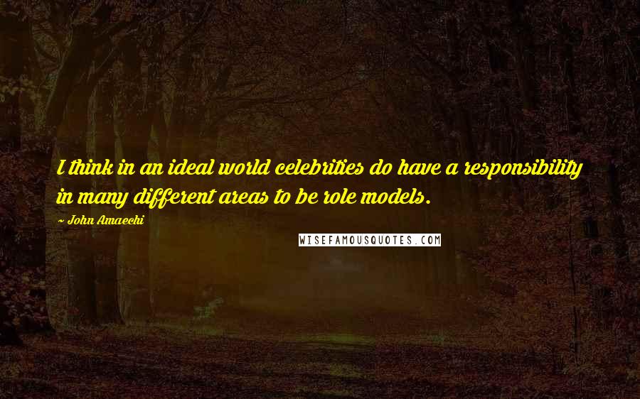 John Amaechi Quotes: I think in an ideal world celebrities do have a responsibility in many different areas to be role models.